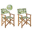 BELIANI - Lot de 2 chaises de jardin CINE Acacia Vert clair - vignette