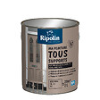 RIPOLIN - Ri 26 multisup mat ral 1019 beige m 2l - vignette