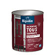 RIPOLIN - Ri 26 multisup mat ral 3004 rge bas 2l - vignette