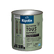 RIPOLIN - Peinture multi-supports - Vert Olive RAL 6021 - Mat 2L - vignette