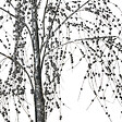 BELIANI - Décoration extérieure LED NILLAKA Arbre 145 cm Argenté - vignette
