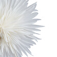 BELIANI - Décoration de Noël Lampe à poser SATOPANTH Étoile 70 cm Blanc - vignette