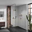 HANSGROHE - Pommeau de douche Pulsify Select EcoSmart 105 3 jets relaxation + Flexible 200 cm Designflex Bronze brossé - vignette