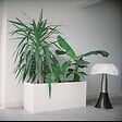 MCCOVER - Plaque PVC expansé blanc Blanc, ep.10 mm, l.100 cm, L.200 cm - vignette