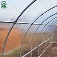 KLASIKA GREENHOUSES - Serre de jardin KLASIKA TUBE PREMIUM 3 x 4 m (12 m²), 6 mm avec revêtement en polycarbonate - vignette