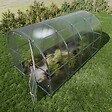 KLASIKA GREENHOUSES - Serre de jardin KLASIKA BALTIC LT EXTRA 3 x 4 m (12 m²), 4 mm avec revêtement en polycarbonate - vignette