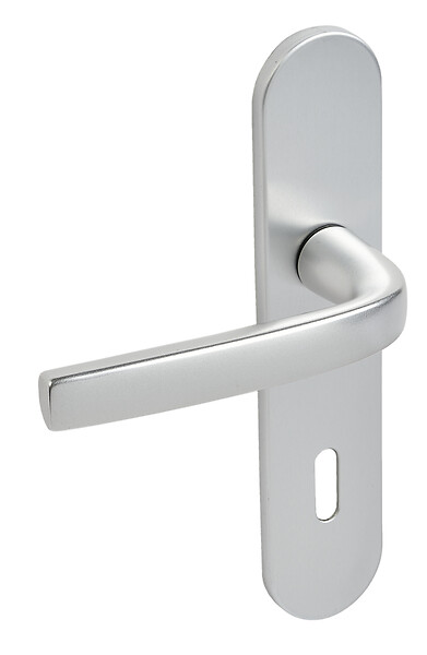 VACHETTE - Ensemble sur plaques Logio entraxe 195mm type CLE I finition argent - VACHETTE - 200666 - large