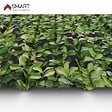 BRAVO THE SMART SOLUTION - Tôle bac acier - Bardage -  panneau mural H12+ Coloris Apple Tree Printech Dimensions 1200x906x0.40 mm - vignette
