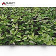 BRAVO THE SMART SOLUTION - Tôle bac acier - Toiture - Couverture - plaque H12+ Coloris Apple Tree Dimensions 1200x906x0.40 mm - vignette