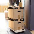 PACK AND MOVE - Pack and Move - Kit levier soulève Meubles - 2 Chariot Roulettes 150 kg - Lève Porte 100 KG - Pour meubles lourds - Déplacer meubles et Portes - vignette