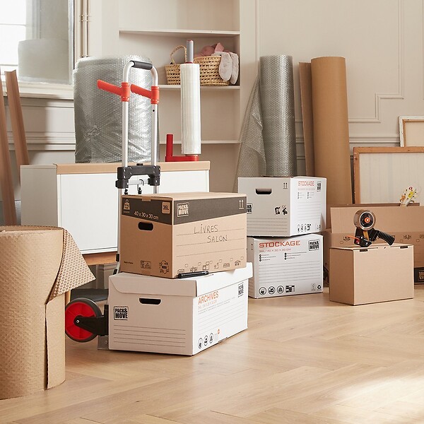 PACK AND MOVE - Pack and Move - Lot 20 cartons stockage - 55 x 30 x 30 cm - Poignées renforcées - 1 marqueur offert - large
