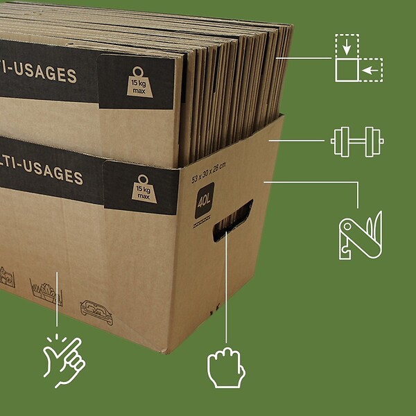 PACK AND MOVE - Pack and Move - Lot de 10 caisses en carton - 53 x 30 x 26 cm - Transport, déménagement, stockage - large