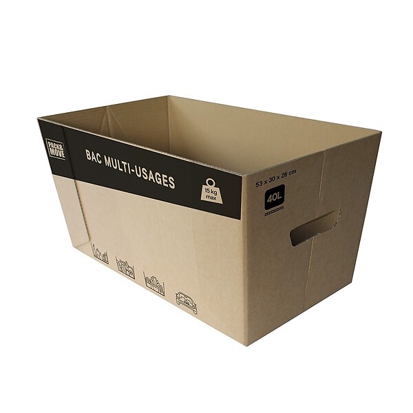 PACK AND MOVE - Pack and Move - Lot de 10 caisses en carton - 53 x 30 x 26 cm - Transport, déménagement, stockage - large