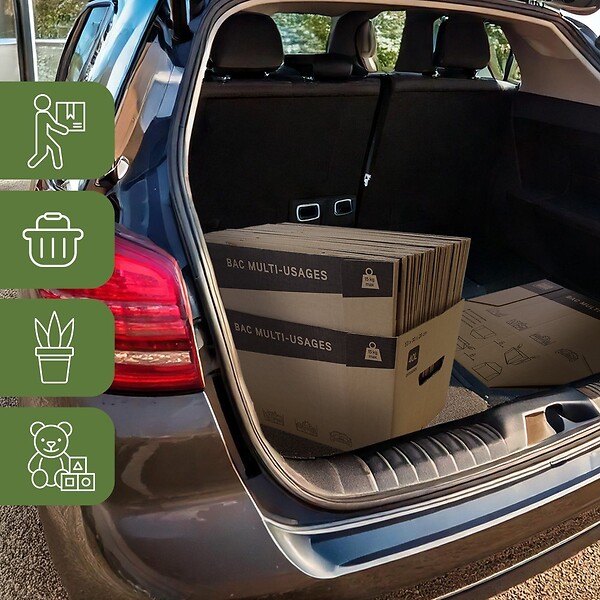 PACK AND MOVE - Pack and Move - Lot de 20 caisses en carton - 53 x 30 x 26 cm - Transport, déménagement, stockage - large