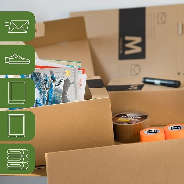 PACK AND MOVE - Pack and Move - Lot 24 colis pour expédition - Taille S - Carton renforcé - 23 x 10 x 13 cm - 20 KG max - large
