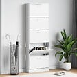 VIDAXL - vidaXL Meuble à  chaussures en bois avec 5 compartiments Blanc - vignette