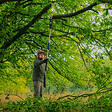 BOSCH - Élagueuse sur perche télescopique - GKE 18V-25 TP - 18V - vignette