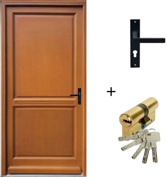 GD MENUISERIES - Porte d'entrée Bois Pleine Eyden, H215 x L90 cm Côte Tableau, p.Gauche (Poignée, Barillet ref010723NO) - large