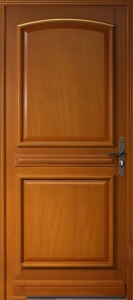 GD MENUISERIES - Porte d'entrée Bois Pleine Garnier, H215 x L80 cm Côte Tableau p.Gauche - large
