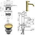 FERRO - CIRICULUS Robinet mitigeur Or brossé + bonde - vignette