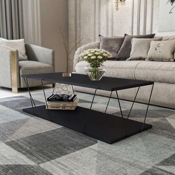 HABITAT ET JARDIN - Table basse en bois "Zisino" - 120 x 50 x 30 cm - Gris anthracite - large