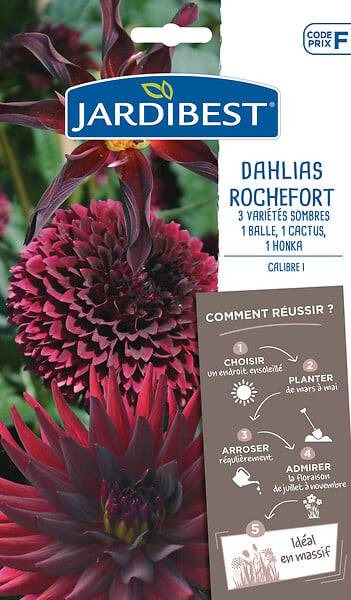 JARDIBEST - Dahlias Rochefort - Mélange de 3 bulbes - large