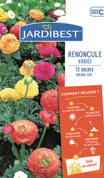 JARDIBEST - Renoncule d'Anjou variée - 15 Bulbes - large