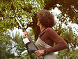 FISKARS - Coupe-branche électrique télescopique - diam coupe 32mm - vignette