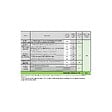 VITO - Tondeuse electrique 1800W Moteur induction coupe 42 cm + Coupe bordure 250W Tête Automatique Pack VITO - vignette