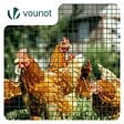 VOUNOT - Grillage a maille soude en acier gaine PVC 25mm fil 1mm 0.5x10m vert - vignette
