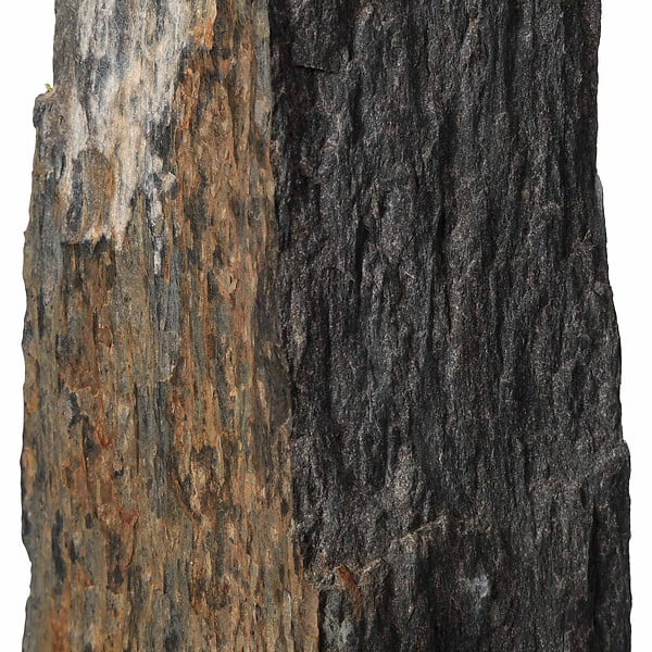 RO'MA NATURE - Piquet Schiste 100x3-7x3-7 cm (à l'unité) - large