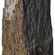 RO'MA NATURE - Piquet Schiste 100x3-7x3-7 cm (à l'unité) - vignette