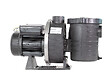 PENTAIR - Pompe Ultraflow Plus 1 CV / 16 m³/h Mono - Pentair - vignette
