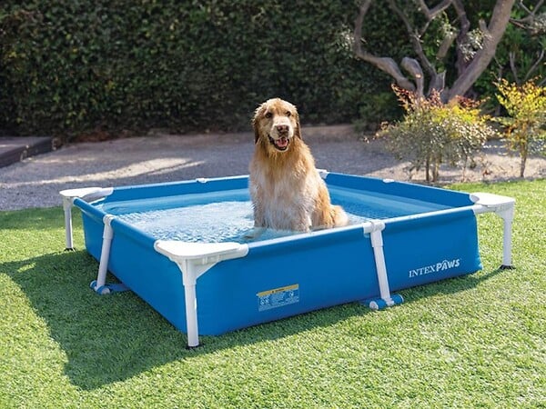 INTEX - Piscine tubulaire carrée pour animaux - Intex - large