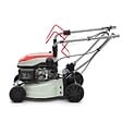 IKRA - Tondeuse à gazon thermique Autotractée 1000m2 - 3,5CV 145Cm3 Coupe 41.8cm Mulching Moteur 4T Bac 40L IKRA - vignette