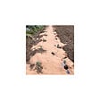 KZ GARDEN - Toile de paillage Agricole 0.4 x 100m Autodégradable 2en1 Engrais et Anti mauvaises herbes 100% Cellulose - vignette