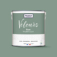 NUANCE - Peinture Velours - Vert talentueux - 2L - vignette
