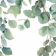99DECO - Lot de 2 panneaux de douche en PVC (90x220 & 120x220 cm) + profilés blanc - Eucalyptus in Rain - Multicolore - vignette