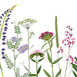 99DECO - Fond de hotte en aluminium - motif floral vert, violet, jaune et rouge - 70x60 cm - vignette