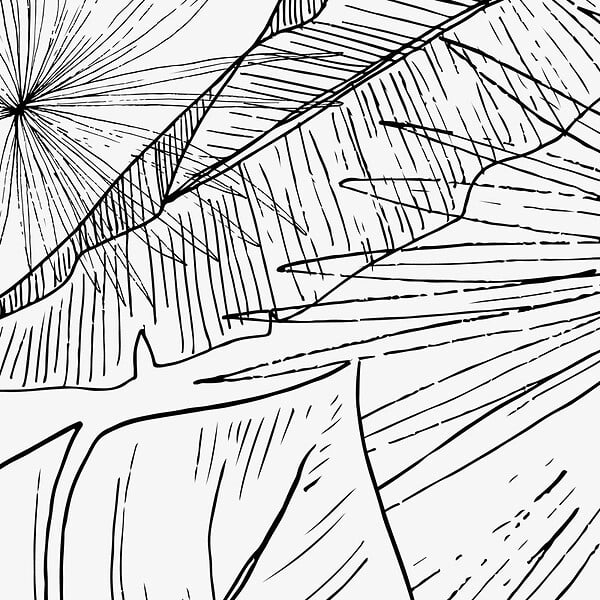 99DECO - Crédence cuisine en aluminium - floral noir - 300x20 cm (en 3 bandeaux) - large