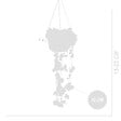 BLOOMIQUE - Ceropegia Woodii - Lanterne chinoise - Plante suspendue - H. 15-20 cm - P. 12 cm - vignette