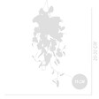BLOOMIQUE - Lot de 2 - Scindapsus Pictus - Silvervine - Plante suspendue - H. 20-25 cm - P. 15 cm - vignette