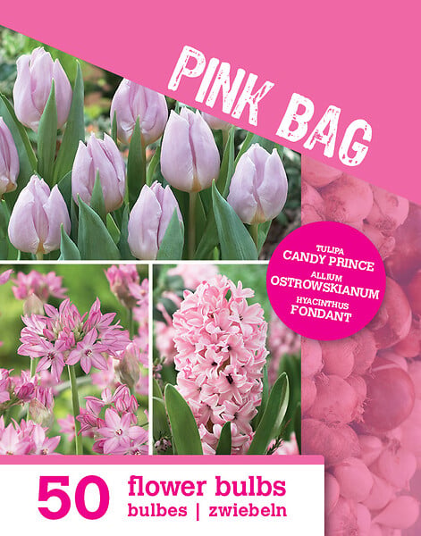 BLOOMIQUE - Mix de 50 - Le Sac Rose - Mix Rose - Tulipes, Jacinthes, Allium - Bulbes à fleurs - large