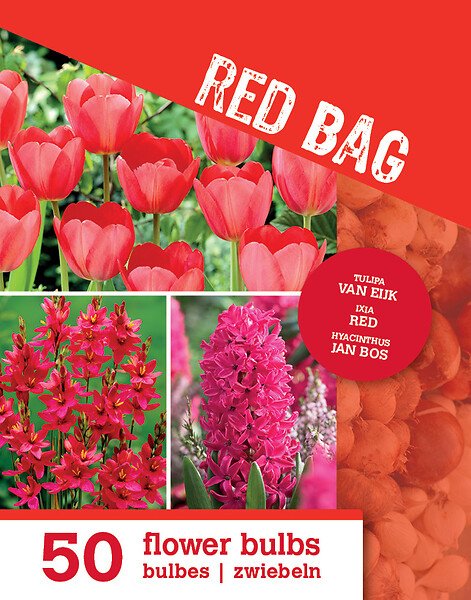BLOOMIQUE - Mix de 50 - Le Sac Rouge - Mix Rouge - Tulipes, Jacinthes, Ixia - Bulbes à fleurs - large