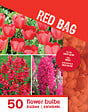 BLOOMIQUE - Mix de 50 - Le Sac Rouge - Mix Rouge - Tulipes, Jacinthes, Ixia - Bulbes à fleurs - vignette