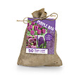 BLOOMIQUE - Mix de 50 - Le Sac Violet - Mix Violet - Tulipes, Jacinthes, Allium - Bulbes à fleurs - vignette
