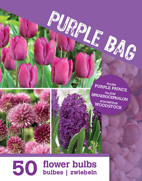 BLOOMIQUE - Mix de 50 - Le Sac Violet - Mix Violet - Tulipes, Jacinthes, Allium - Bulbes à fleurs - large
