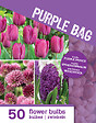 BLOOMIQUE - Mix de 50 - Le Sac Violet - Mix Violet - Tulipes, Jacinthes, Allium - Bulbes à fleurs - vignette