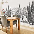 99DECO - Papier peint panoramique - Tivoli - Noir et blanc - intissé : 150g/m² - 7 lés : 336x270cm - vignette