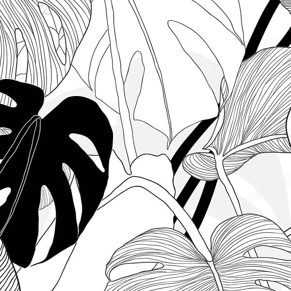99DECO - Papier peint panoramique - Bornéo - Noir - intissé : 150g/m² - 7 lés : 336x270cm - large